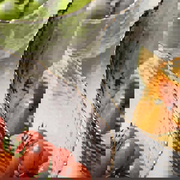 ZH10 Salad Bowl, Glassware-Weilai Concept-Weilai Concept