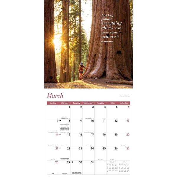 Demotivation Calendar 2027, Wall Calendars, Month To View, Lifestyle, Gift