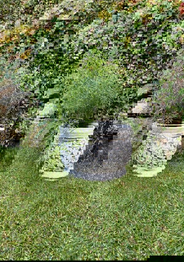 Ornate Flower and Leaf design Planter