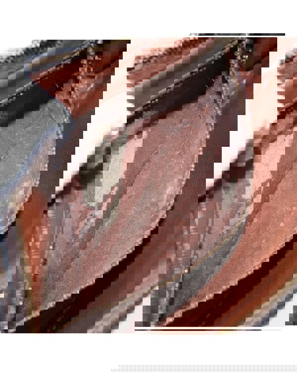 193965331.jpg