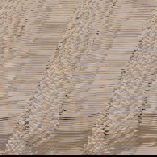 Lightsin Natural Rattan Woven Pendant Light for Warm Ambient Lighting Lightsin UK 
