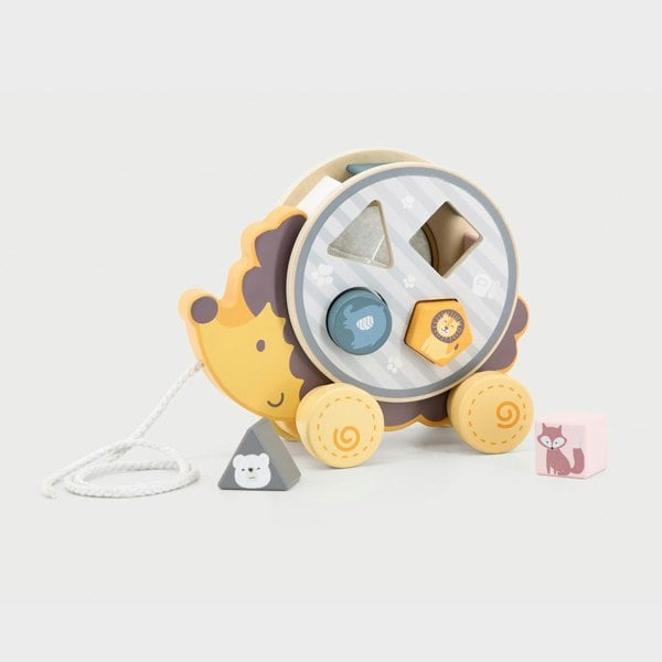 Polar B Hedgehog Sorting Wheel