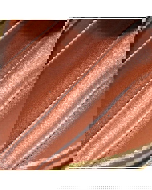 168281453.jpg