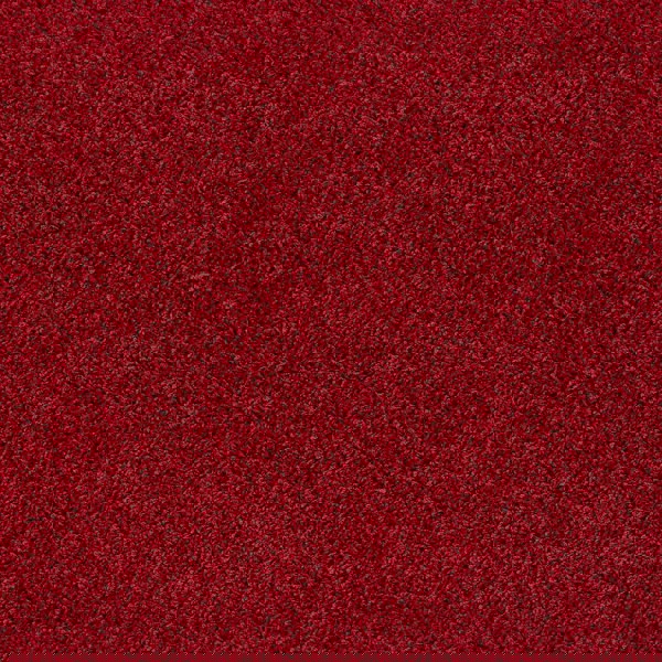 Howler & Scratch Shaggy Rug Red