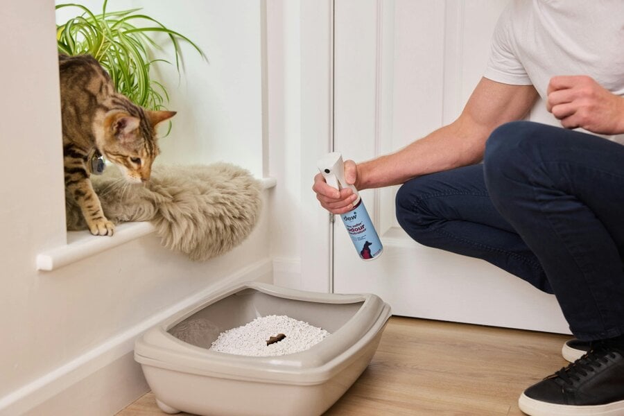 Dew Safer Pet Odour Neutraliser