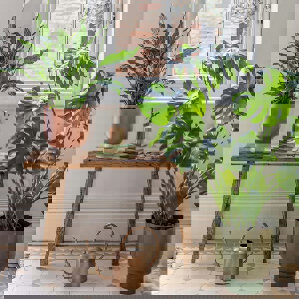#color_green