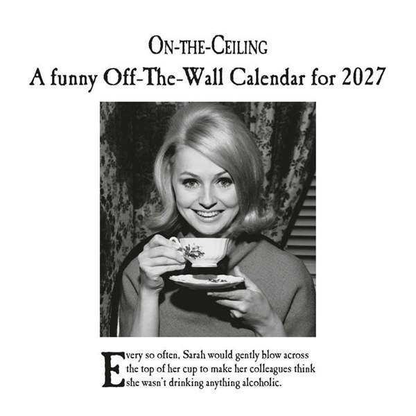 On-The-Ceiling Calendar 2027, Wall Calendars, Month To View, Humour, Gift