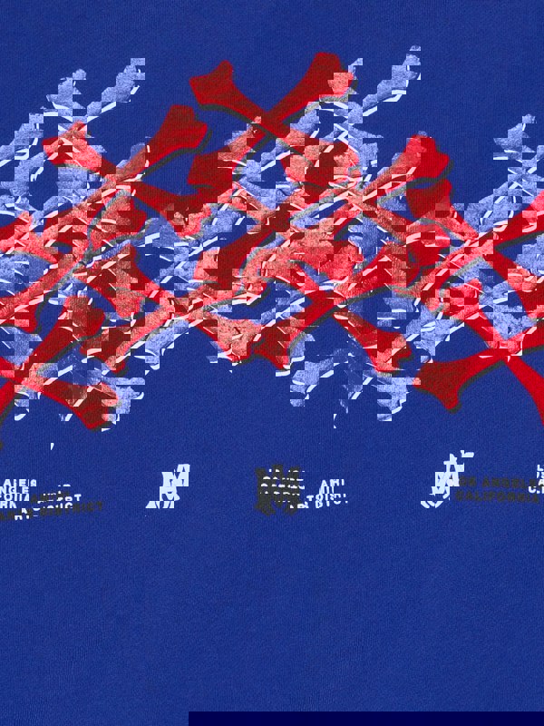 Amiri Kids Bones Graphic Crewneck – Blue / Red