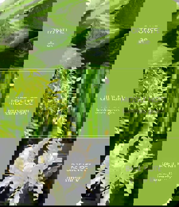 Bamboo & Ginger Lily - Bamboo Fragrance Spray