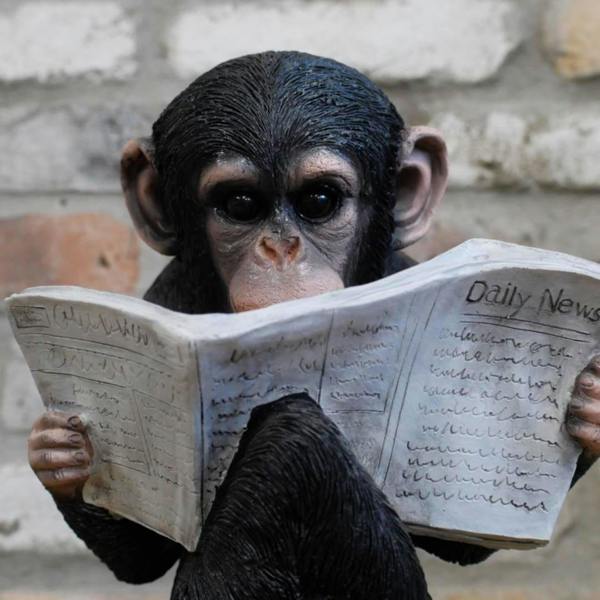 Cute Monkey Reading The News