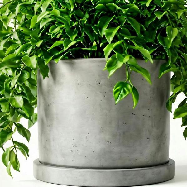 Cylindrical ceramic planter with a matching saucer on a white background