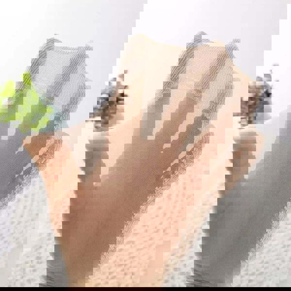 Anysox 10 Pairs Free Size Fashion Socks High Quality Velvet Silk Spring Summer Breathable Soft Cotton Bottom Wicking Slip-resistant for Women Beige