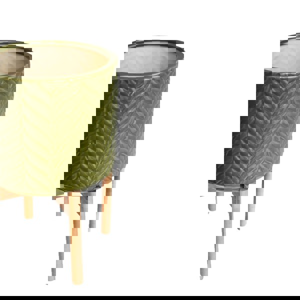 #color_olive-green