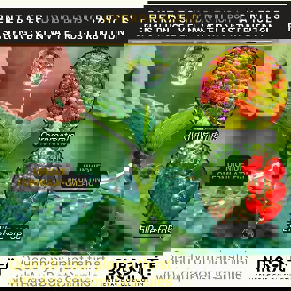 Bronte Heritage AquaBoost Water Retaining Granules 50g – Reduce watering, prevent drought stress & boost stronger root growth for all plants
