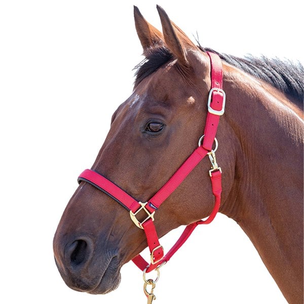 Shires Topaz Nylon Horse Headcollar - Red