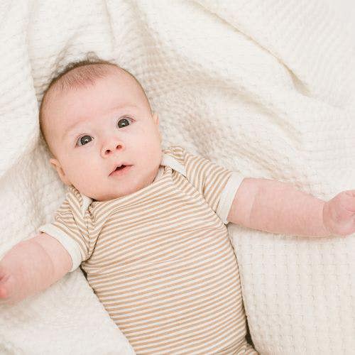 Lulujo - Waffle Blanket - Cream Vanilla