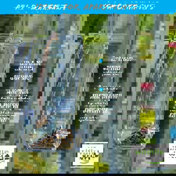 smartbies Dewdrop Window Bird Feeder