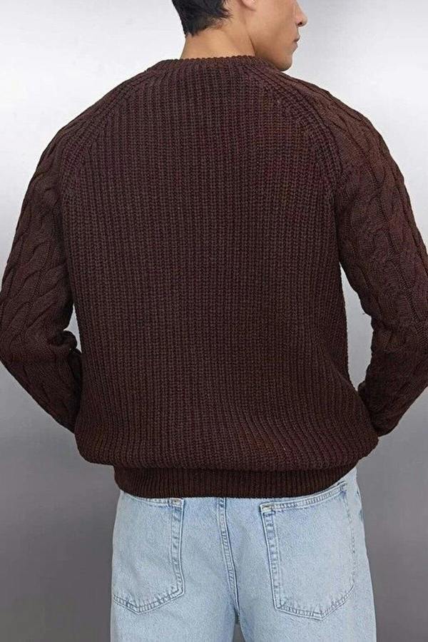 WOVCOR Regular Fit Woolen Crew Neck Knit Men's Sweater with Hair Knitting Detail