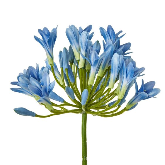 Wyld Haus Set of 3 Artificial Flowers Blue Agapanthus Stems