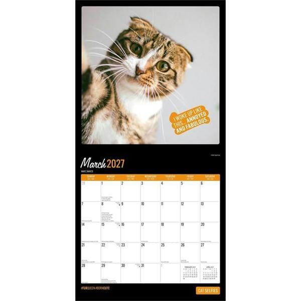 Cat Selfies Calendar 2027, Wall Calendars, Month To View, Humour, Gift