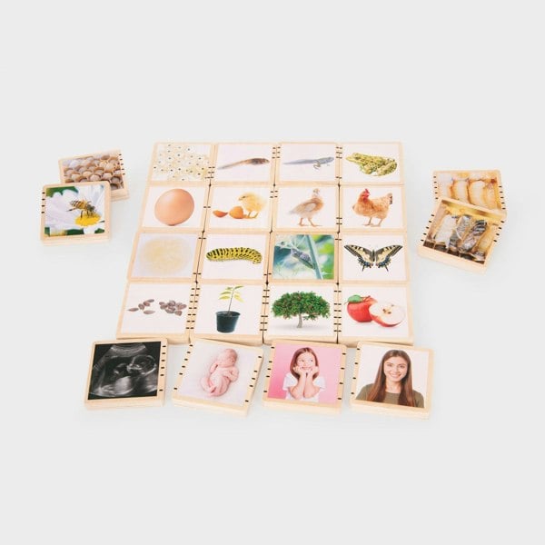 tickit Wooden Lifecycle Tiles