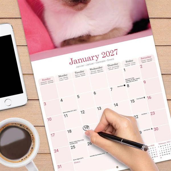 Siamese Cats Calendar 2027, Wall Calendars, Month To View, Cats, Gift