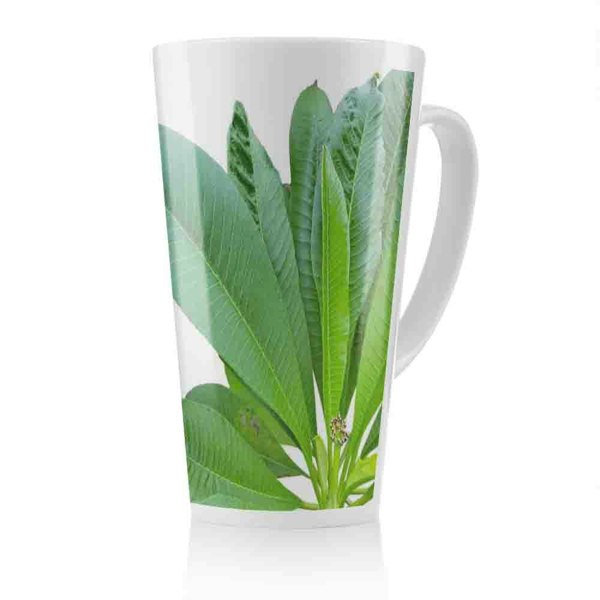Benjamin Tate Design Collection Of Green Leaves On White Latte Mug