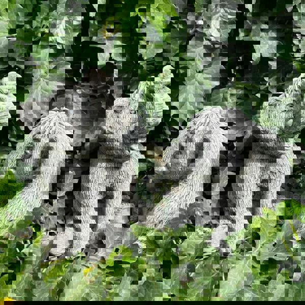 Adorable Baby Mammoths Duo Manny and Ellie Elephants