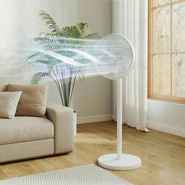 Floor Fan
