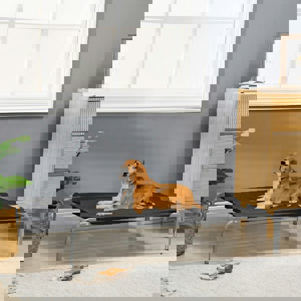 D04-064V02BK