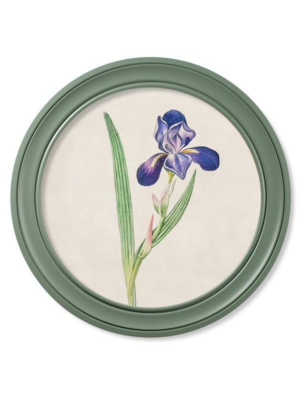 Exceptional Art c.1780 Flowering Plants Round Frame Green