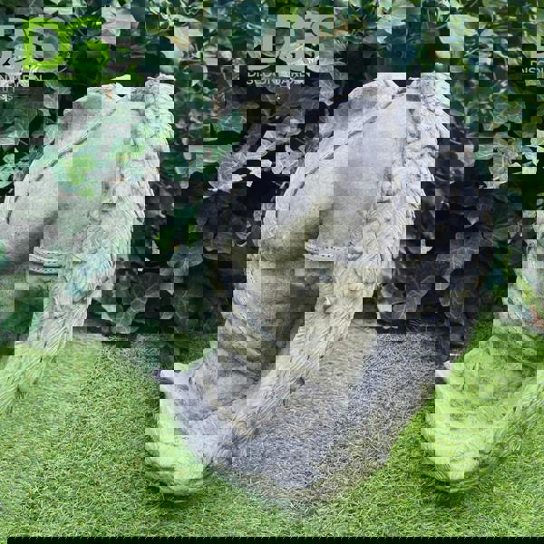 Medium Greek style Male Stone Cast Statue Icarus