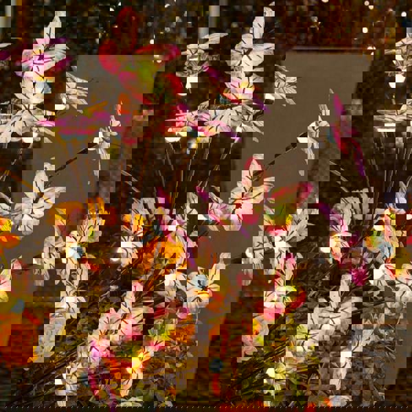 Leaper Solar Butterfly & Firefly Garden Ground Lights