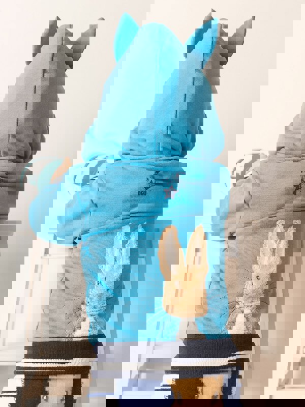 Peter Rabbit Blue Hoodie - Blade & Rose UK