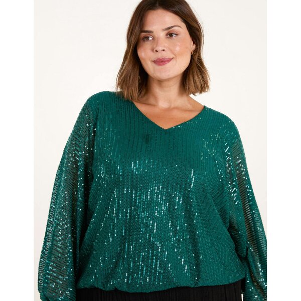 Blue Vanilla Curve Sequin Batwing Blouse