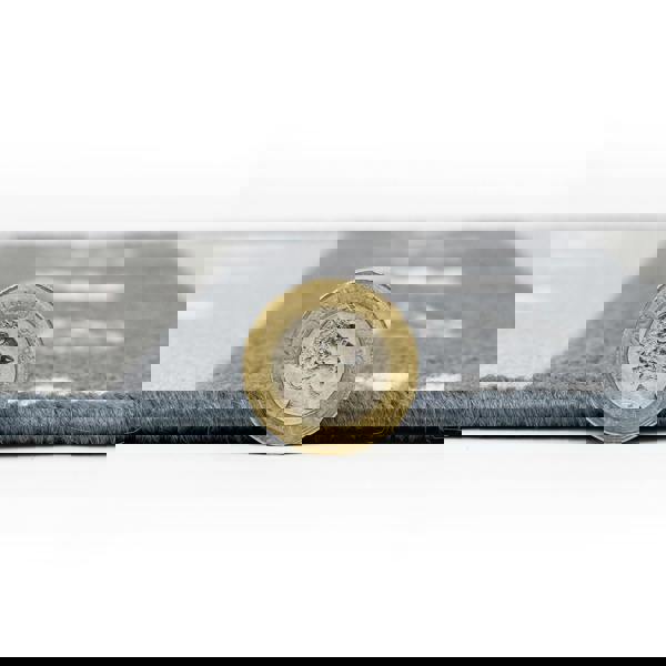 JVL Machine Washable Pet Mat 40×70 cm – Absorbent Indoor Dog & Cat Mat for Feeding Stations, Food Bowls & Entryways – Classic “Paw Prints” Design