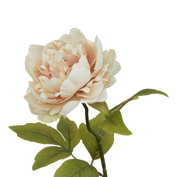 Wyld Haus Set of 3 Artificial Flowers Blush Peony Stem