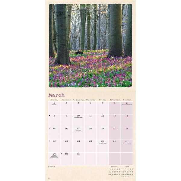 Scenic Woodland Calendar 2027, Wall Calendars, Month To View, Natural World, Gift