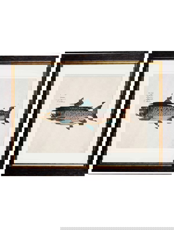 Exceptional Art c.1785 Studies of Salmon