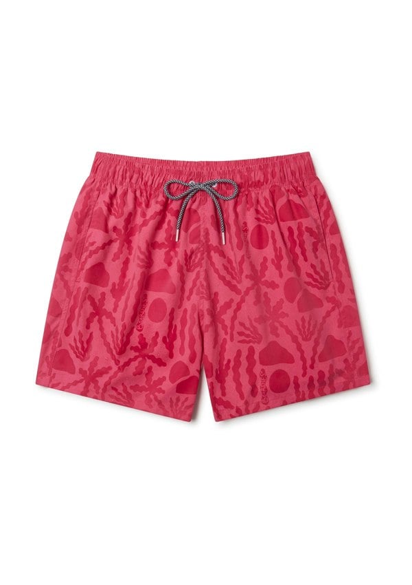 BOARDIES Las Coloradas