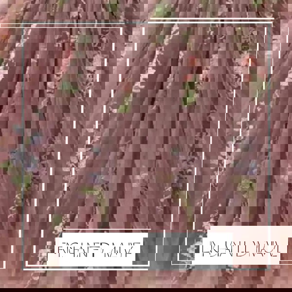 Mauve embroidered option tulle