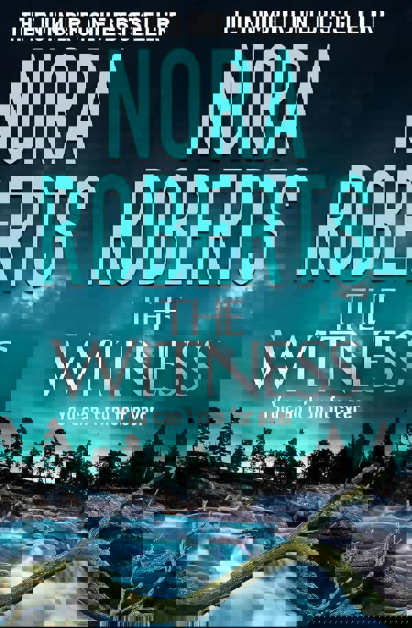 Nora Roberts 5 Books Collection Set (Whiskey Beach, The Witness, The Liar, The Collector, Chasing Fire)