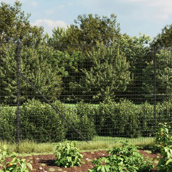 Berkfield Wire Mesh Fence with Spike Anchors Anthracite 2.2x25 m