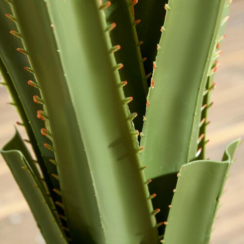 Wyld Haus Lisu Raha Artificial Agave Style Succulent Plant In Pot For Indoor Or Outdoor Placement