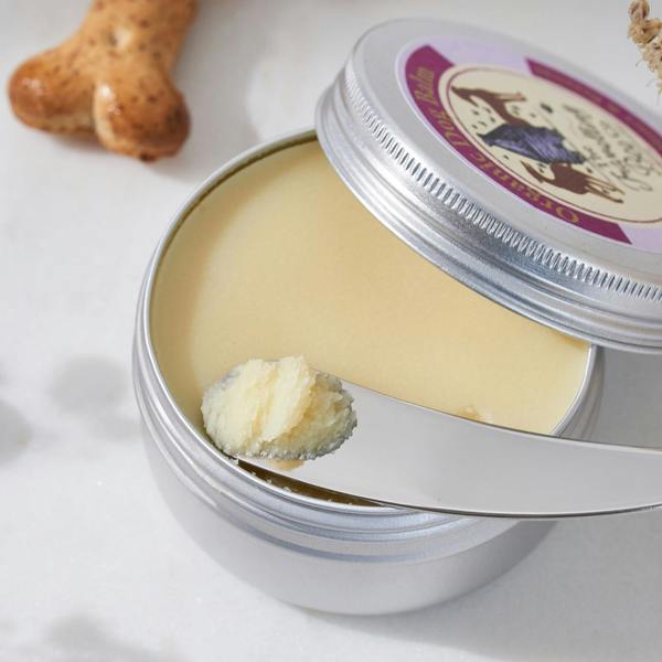 The Travelling Bee Co. Organic Dog Balm with Scottish Heather Honey & Beeswax