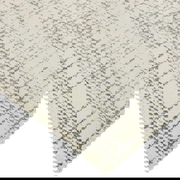 Asiatic Nova NV31 Grid Grey Rug