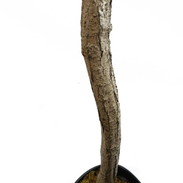 Leaf 180cm Artificial Natural Look Olive Tree with Wooden Trunk