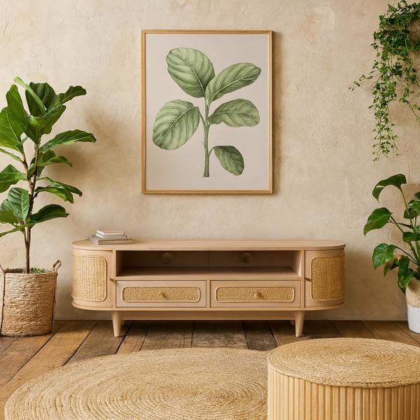 Wyld Haus Chicago Cane Rattan and Natural Mango Wood 2 Drawers and 2 Door TV Cabinet