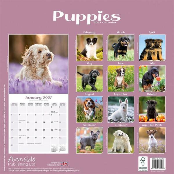 Puppies Calendar 2027, Wall Calendars, Month To View, Dogs, Gift