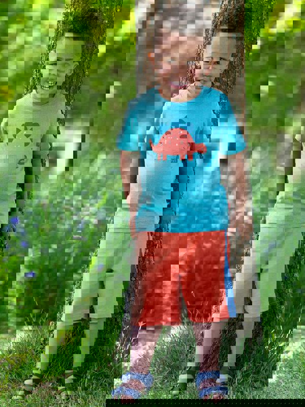 Kite Boys Organic My Pet Steggie T-Shirt